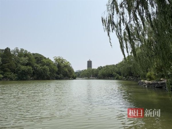 捷希源配资 实探北大未名湖：部分区域设防护链，保安称取水取土“绝对不允许”