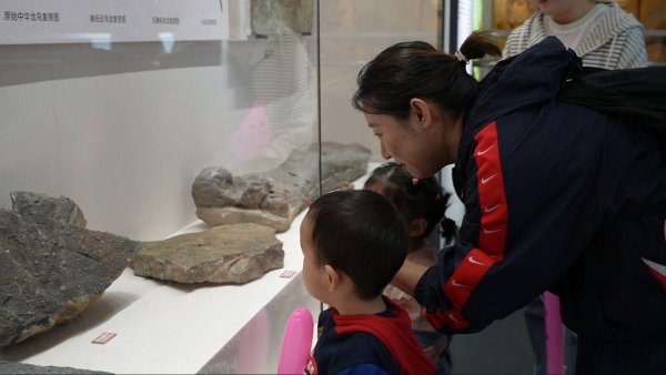 黑马配资 辽宁朝阳鸟化石国家地质公园升级开放