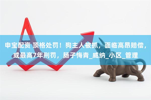 申宝配资 顶格处罚！狗主人被抓，面临高昂赔偿，或最高7年刑罚，肠子悔青_威纳_小区_管理