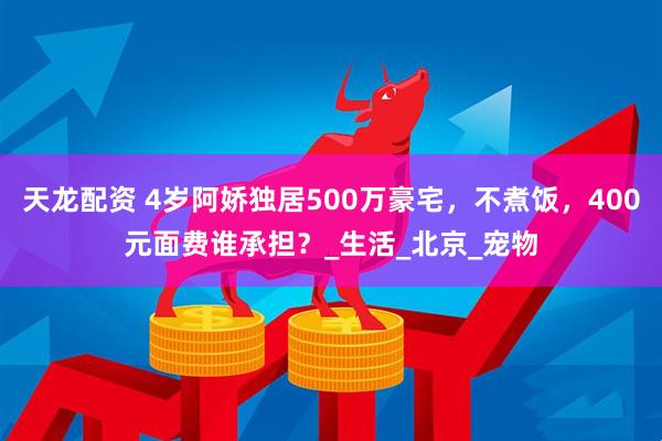 天龙配资 4岁阿娇独居500万豪宅，不煮饭，400元面费谁承担？_生活_北京_宠物