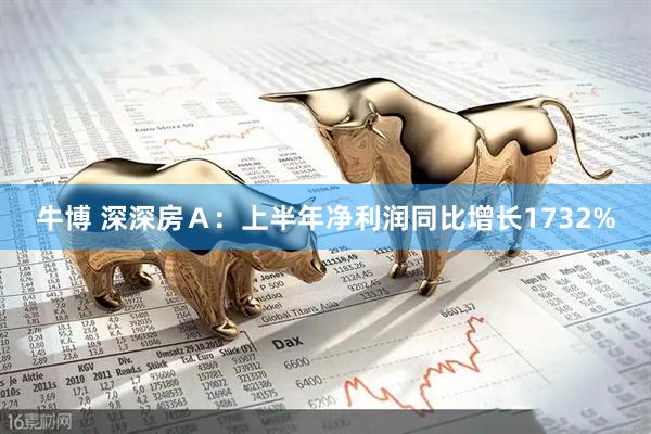 牛博 深深房Ａ：上半年净利润同比增长1732%